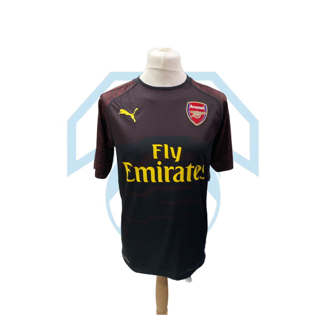 Petr Cech 1 Arsenal 2018-19 Goalkeeper Shirt Men's Medium - Used