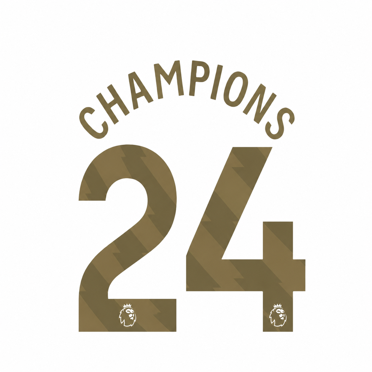 Champions 24 Player Size Official Name sets - Adult (Manchester City)