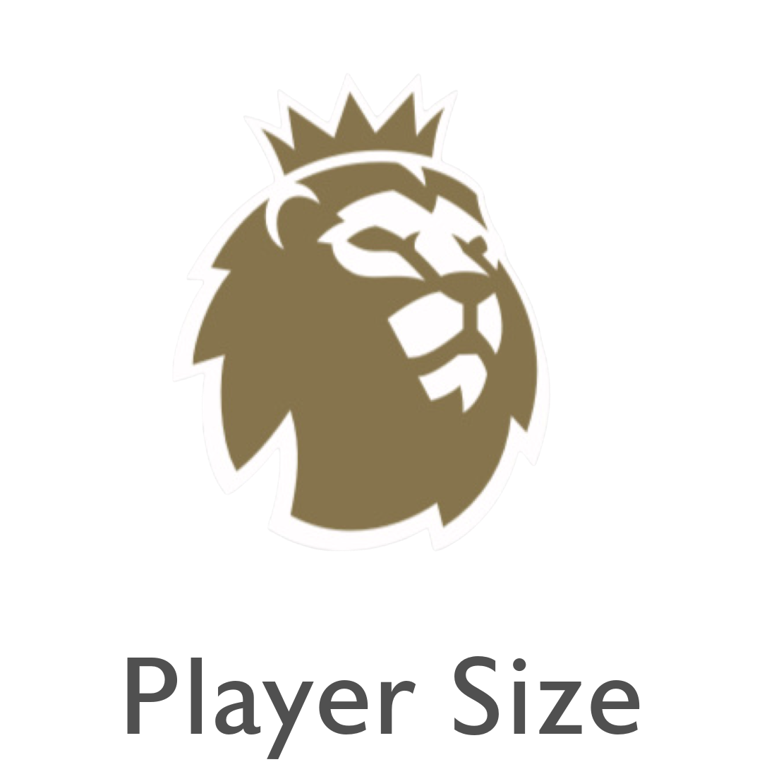 2023-26 Premier League Champions Player Size Sleeve Badge