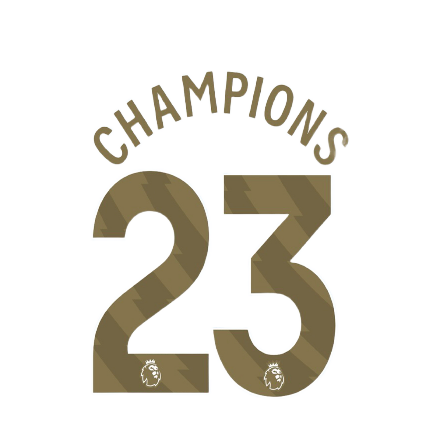 Champions 23 Player Size Official Name sets - Adult (Manchester City)