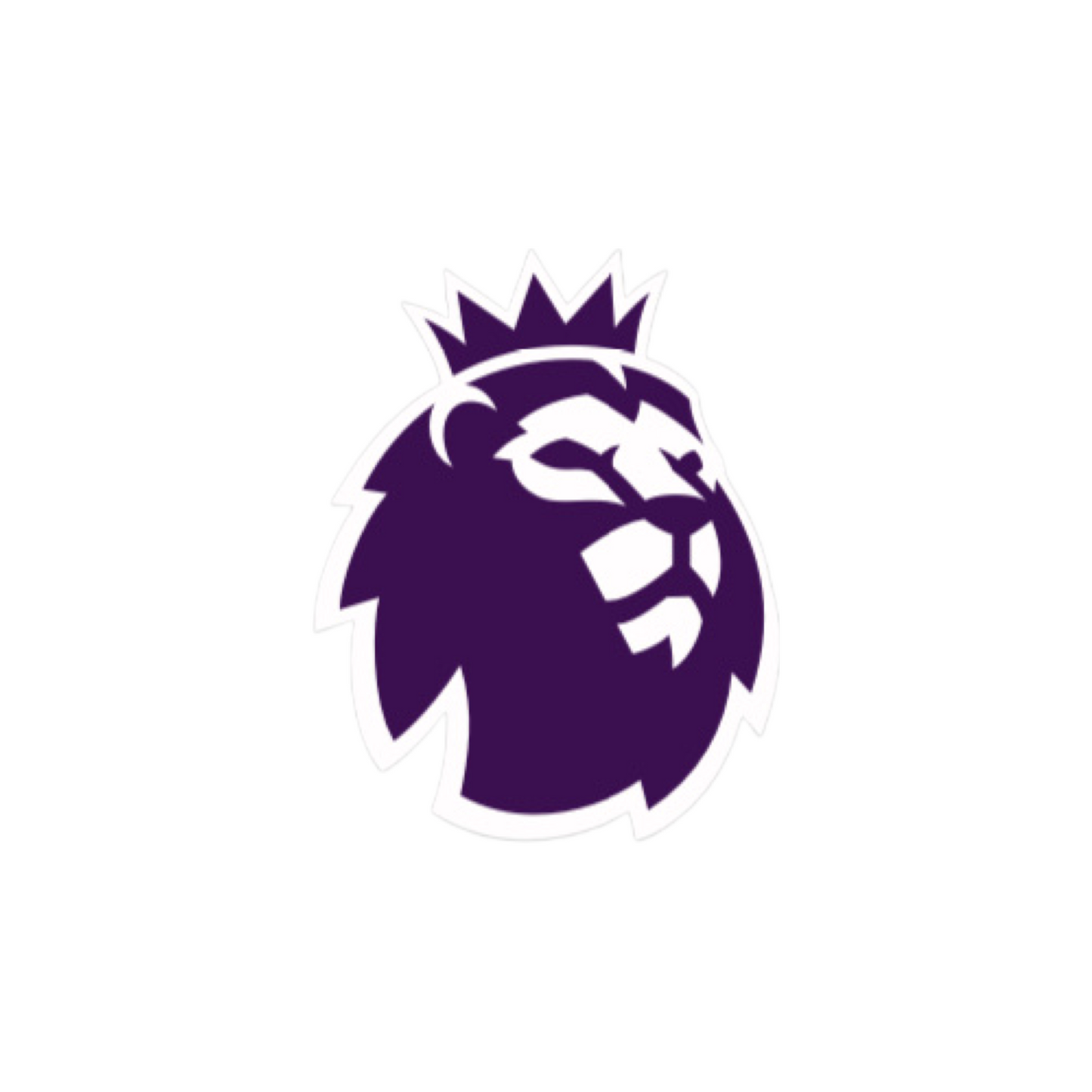 2023-25 Premier League Player Size Sleeve Badge