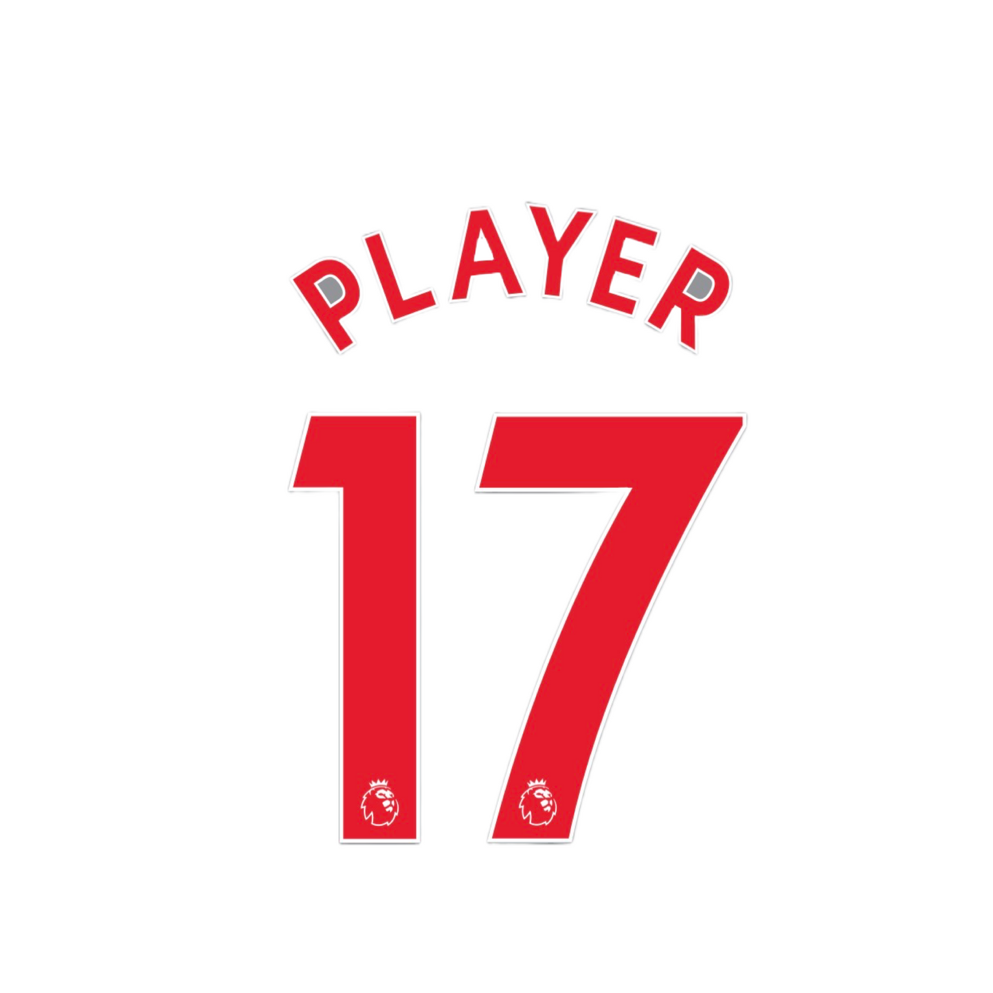 2017 - 19 Youth Size Premier League Custom Name Set