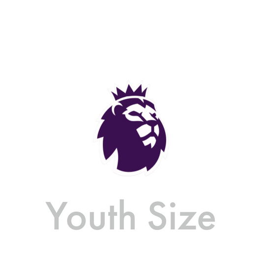 2023-24 Premier League Youth Size Sleeve Badge