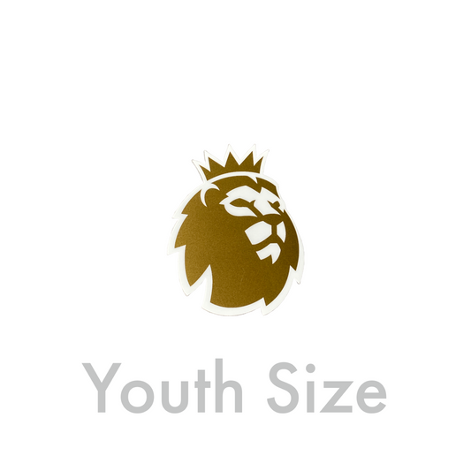 2023-24 Premier League Champions Youth Size Sleeve Badge (Manchester City)
