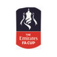 2016 - 2019 FA Cup Player Size Sleeve Badge